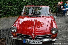 DSC_9503-Gros