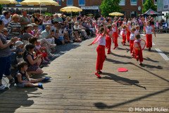 DSC_9595-Gros