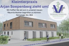 Arjan-Soepenberg-Tierarztpraxis-halbe-Seite