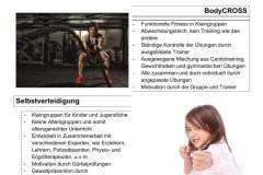 THE-CRANE-ganze-Seite